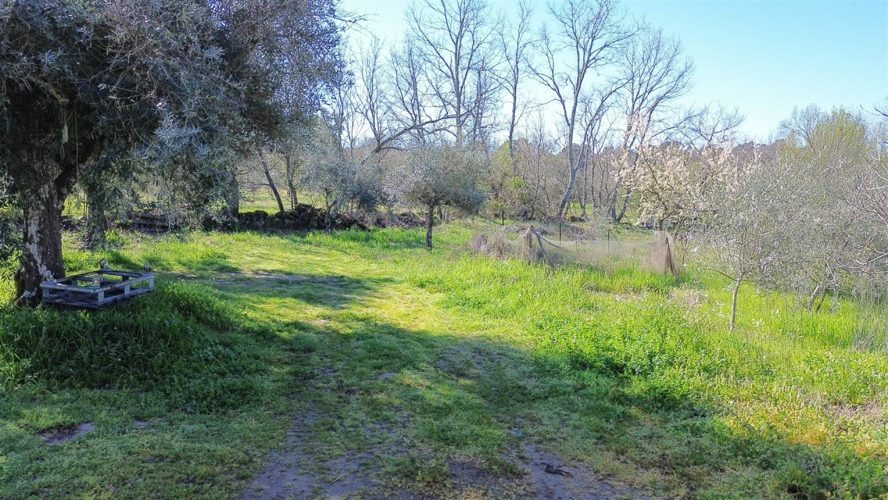 Quinta T3 para Venda em Aldeia do Bispo, Águas e Aldeia de João Pires Foto 33