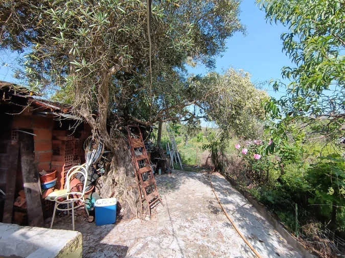 Quinta T3 para Venda em Aldeia do Bispo, Águas e Aldeia de João Pires Foto 18