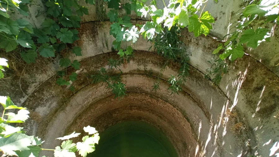 Quinta T3 para Venda em Aldeia do Bispo, Águas e Aldeia de João Pires Foto 6