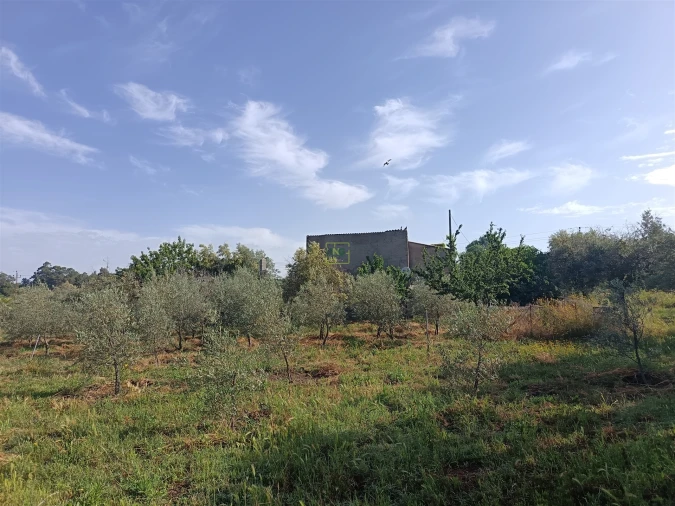 Quinta T3 para Venda em Aldeia do Bispo, Águas e Aldeia de João Pires Foto 15