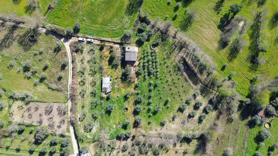 Quinta T3 para Venda em Aldeia do Bispo, Águas e Aldeia de João Pires Foto 46