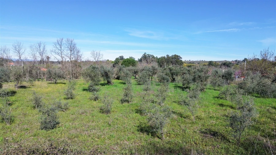 Quinta T3 para Venda em Aldeia do Bispo, Águas e Aldeia de João Pires Foto 38