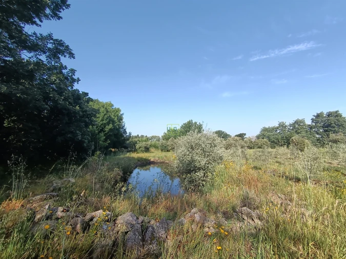Quinta T3 para Venda em Aldeia do Bispo, Águas e Aldeia de João Pires Foto 14
