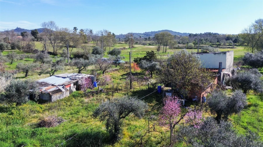 Quinta T3 para Venda em Aldeia do Bispo, Águas e Aldeia de João Pires Foto 39