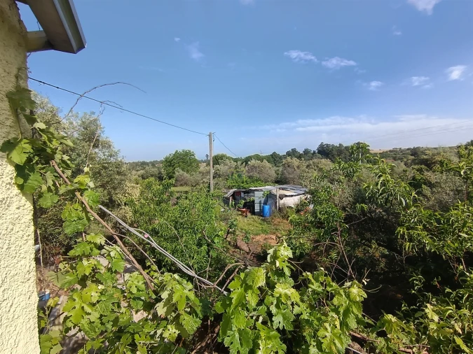 Quinta T3 para Venda em Aldeia do Bispo, Águas e Aldeia de João Pires Foto 17