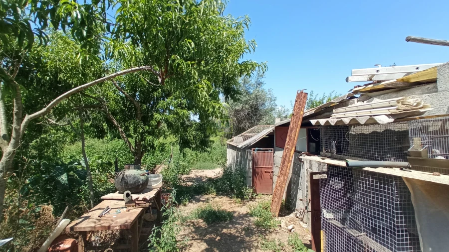 Quinta T3 para Venda em Aldeia do Bispo, Águas e Aldeia de João Pires Foto 10