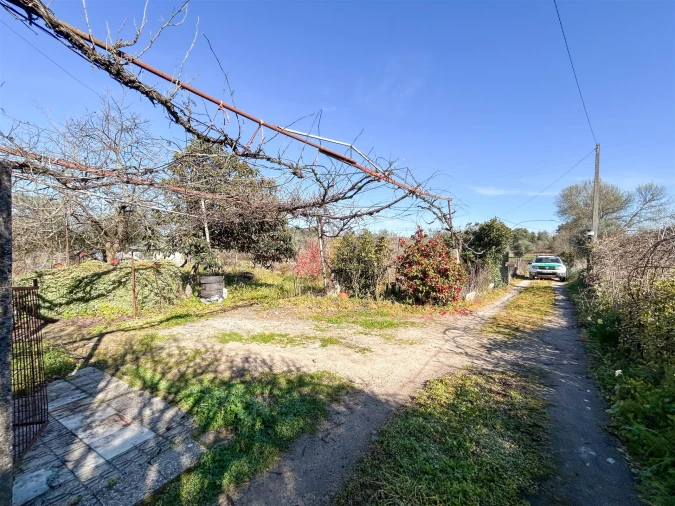 Quinta T3 para Venda em Aldeia do Bispo, Águas e Aldeia de João Pires Foto 61