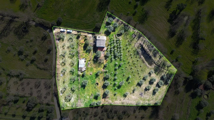 Quinta T3 para Venda em Aldeia do Bispo, Águas e Aldeia de João Pires Foto 47