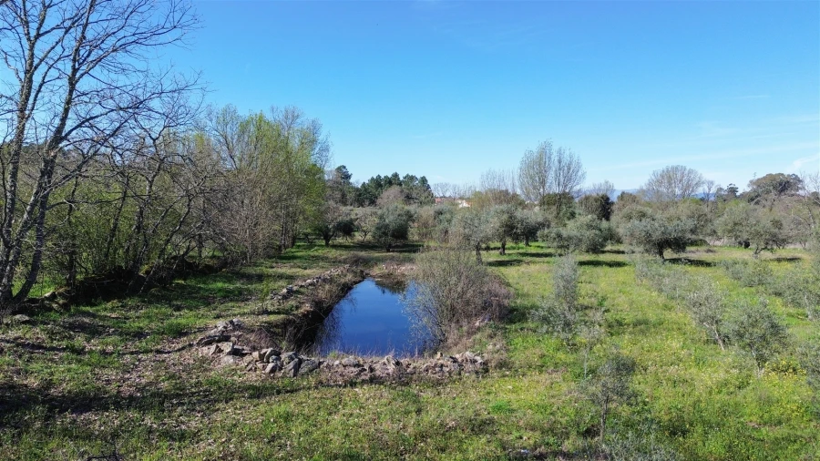 Quinta T3 para Venda em Aldeia do Bispo, Águas e Aldeia de João Pires Foto 37