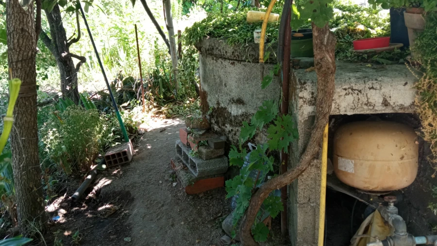 Quinta T3 para Venda em Aldeia do Bispo, Águas e Aldeia de João Pires Foto 3