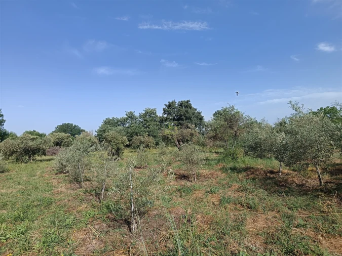 Quinta T3 para Venda em Aldeia do Bispo, Águas e Aldeia de João Pires Foto 16
