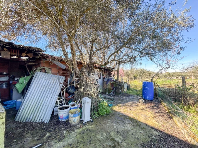 Quinta T3 para Venda em Aldeia do Bispo, Águas e Aldeia de João Pires Foto 66