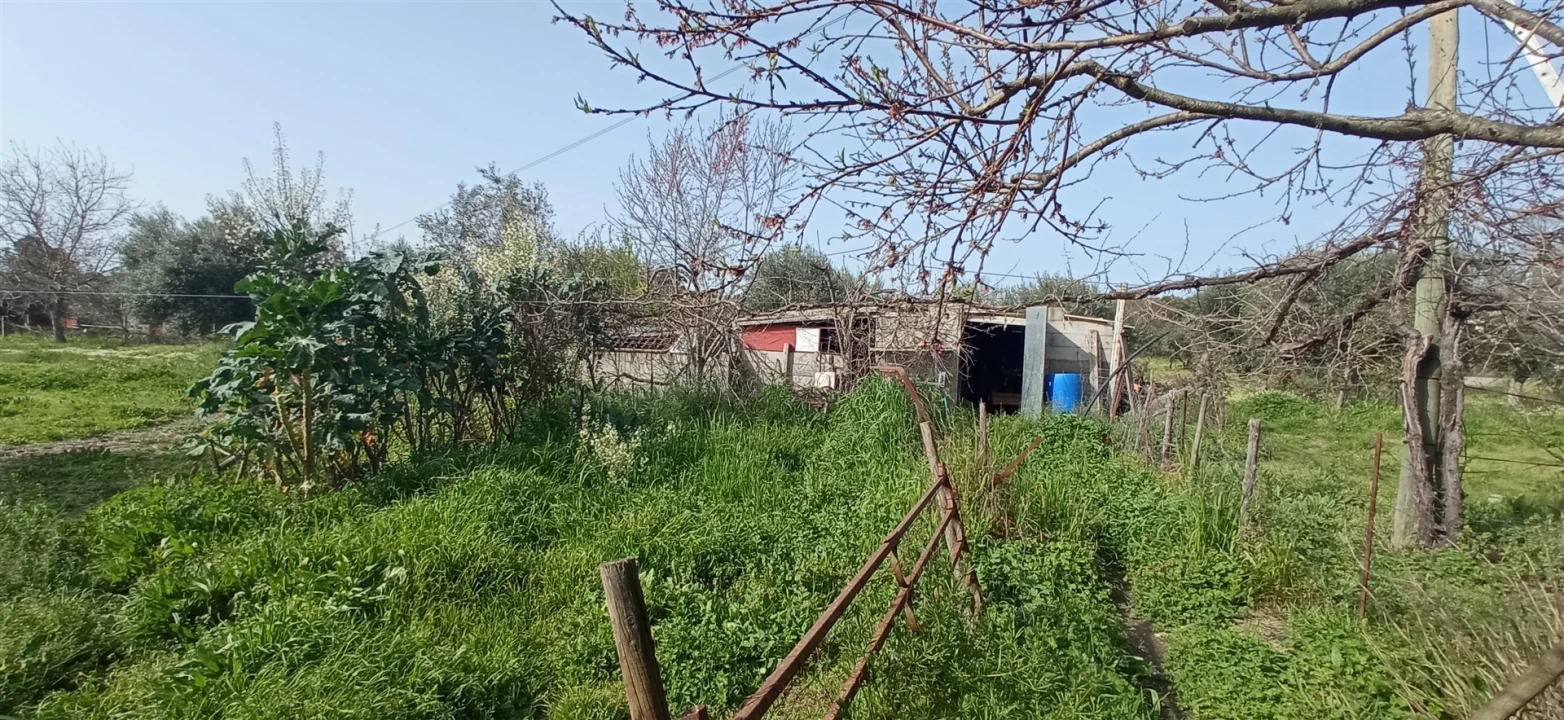 Quinta T3 para Venda em Aldeia do Bispo, Águas e Aldeia de João Pires Foto 8