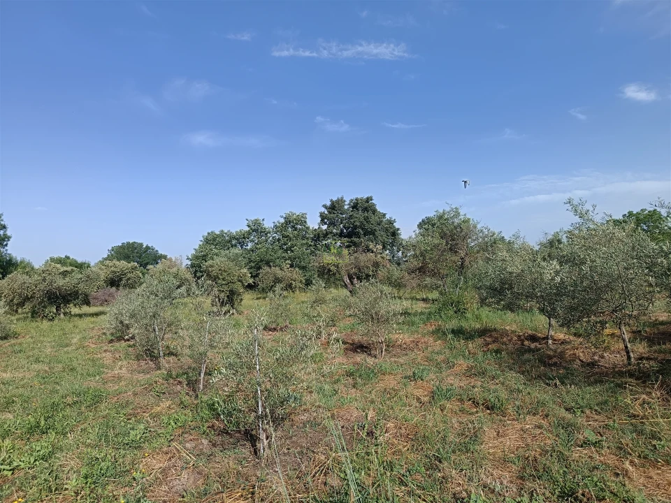 Quinta T3 para Venda em Aldeia do Bispo, Águas e Aldeia de João Pires Foto 16