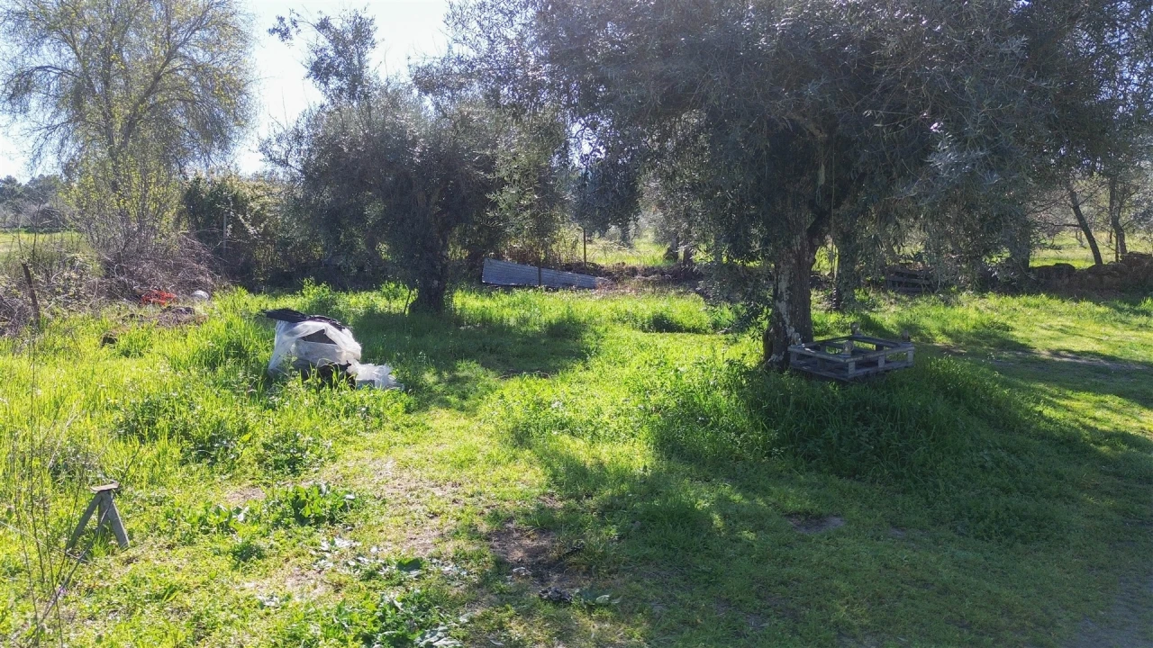 Quinta T3 para Venda em Aldeia do Bispo, Águas e Aldeia de João Pires Foto 32