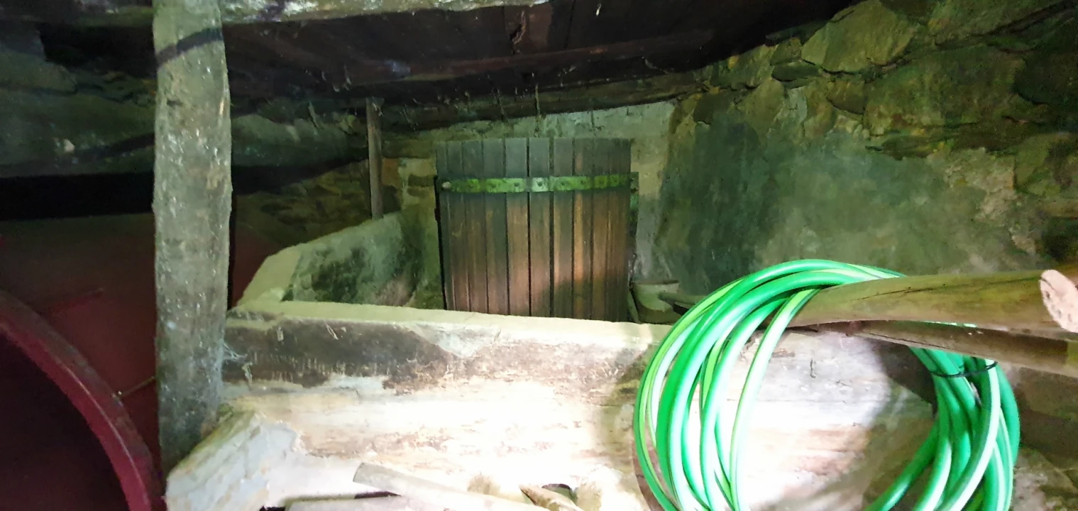 Moradia T2 para Venda em Sarnadas de São Simão Foto 9