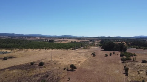 Terreno Agricola ou Rústico para Venda em Penamacor