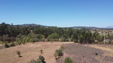 Terreno Agricola ou Rústico para Venda em Penamacor