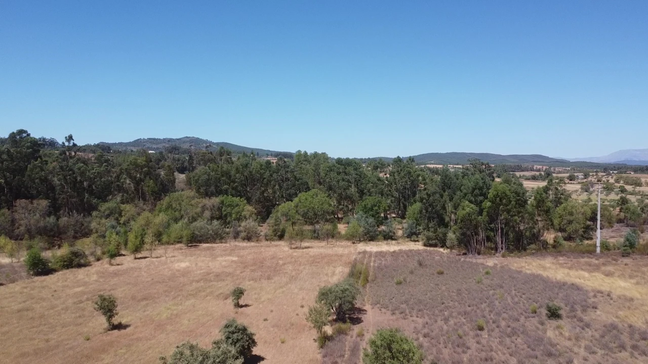 Terreno Agricola ou Rústico para Venda em Penamacor Foto 2