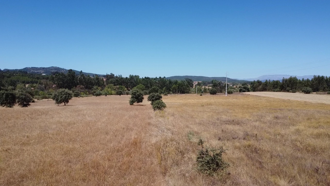 Terreno Agricola ou Rústico para Venda em Penamacor Foto 3