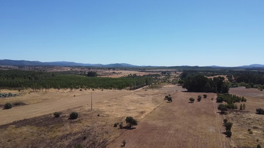 Terreno Agricola ou Rústico para Venda em Penamacor