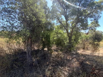 Terreno Agricola ou Rústico para Venda em Sarzedas