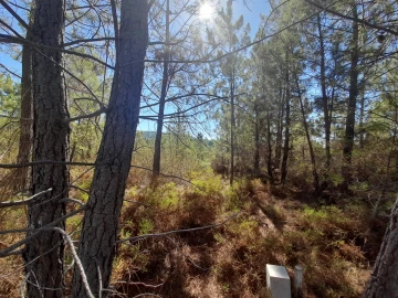 Terreno Agricola ou Rústico para Venda em Sarzedas