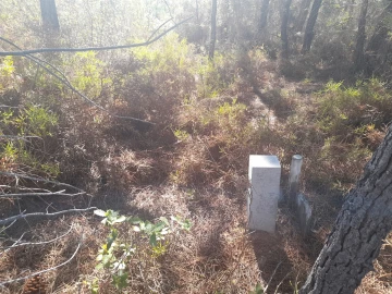 Terreno Agricola ou Rústico para Venda em Sarzedas