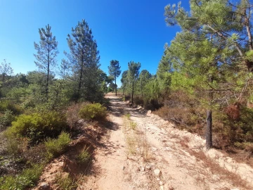 Terreno Agricola ou Rústico para Venda em Sarzedas