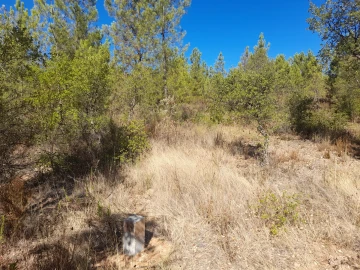 Terreno Agricola ou Rústico para Venda em Sarzedas