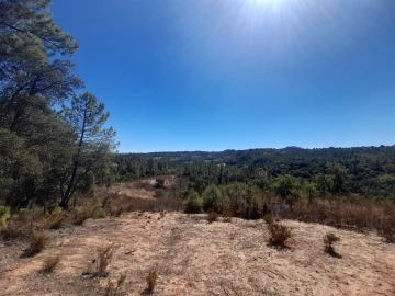 Terreno Agricola ou Rústico para Venda em Sarzedas