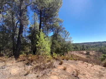 Terreno Agricola ou Rústico para Venda em Sarzedas