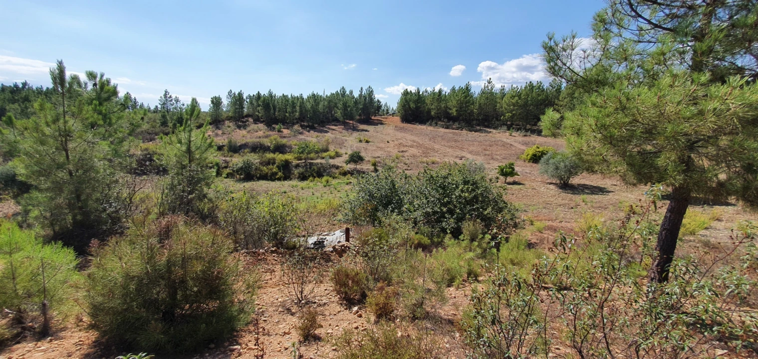 Quinta T0 para Venda em Santo Andre das Tojeiras Foto 16