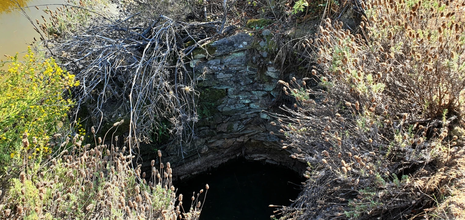Quinta T0 para Venda em Santo Andre das Tojeiras Foto 21