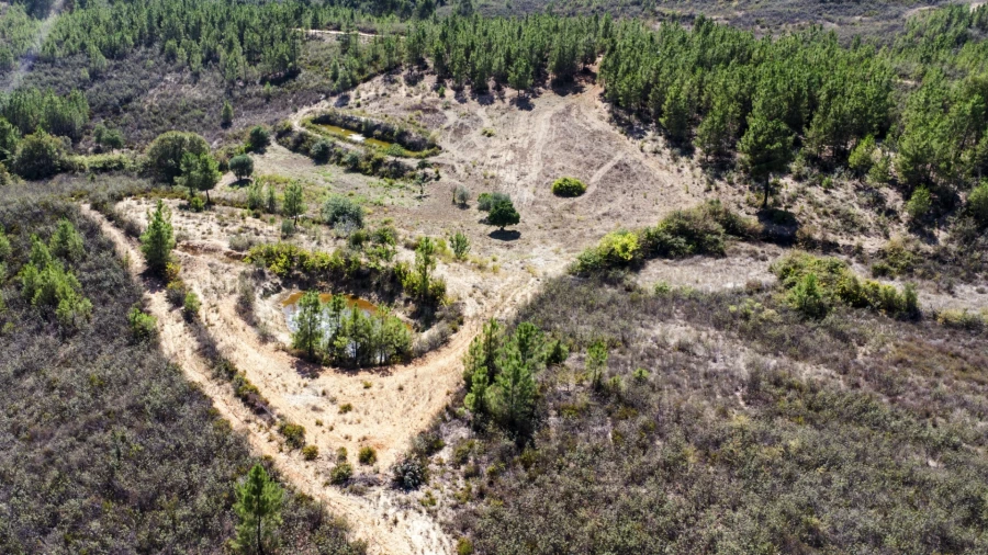 Quinta T0 para Venda em Santo Andre das Tojeiras
