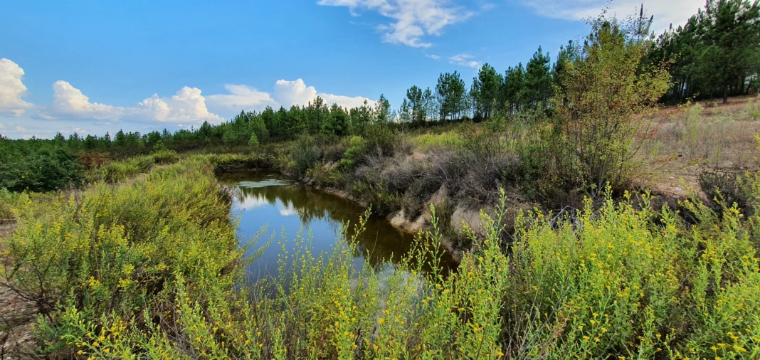 Quinta T0 para Venda em Santo Andre das Tojeiras Foto 2