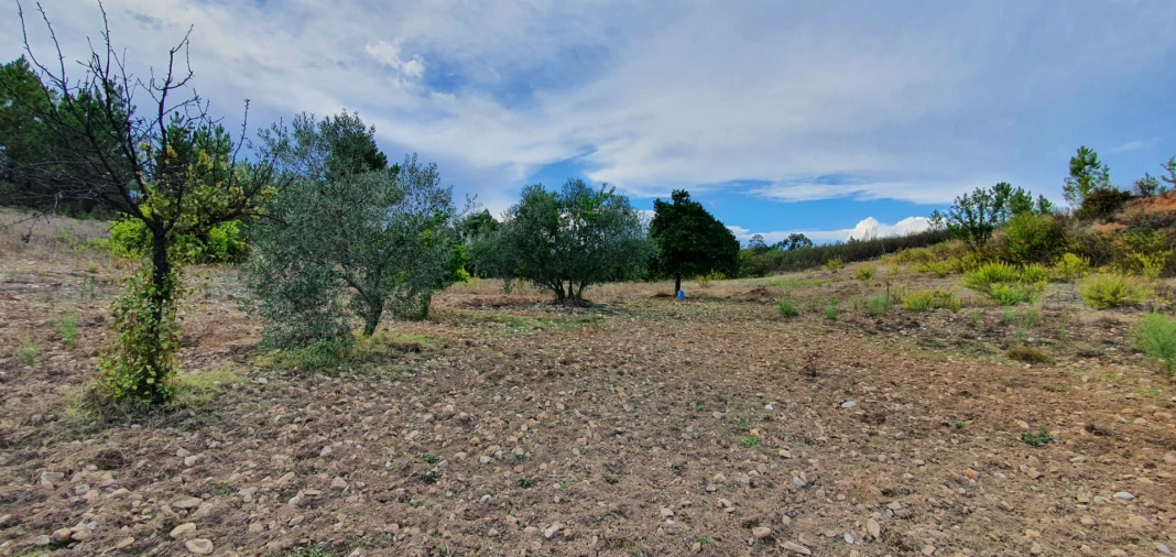 Quinta T0 para Venda em Santo Andre das Tojeiras Foto 8