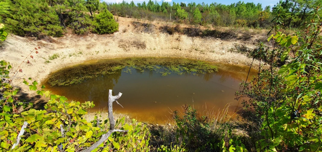 Quinta T0 para Venda em Santo Andre das Tojeiras Foto 13