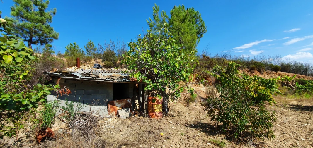 Quinta T0 para Venda em Santo Andre das Tojeiras Foto 17
