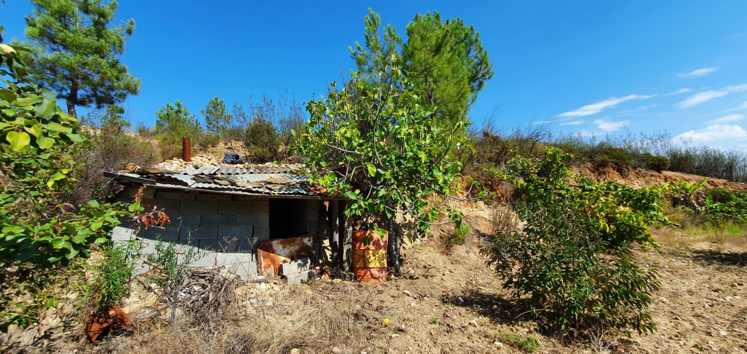 Quinta T0 para Venda em Santo Andre das Tojeiras Foto 17
