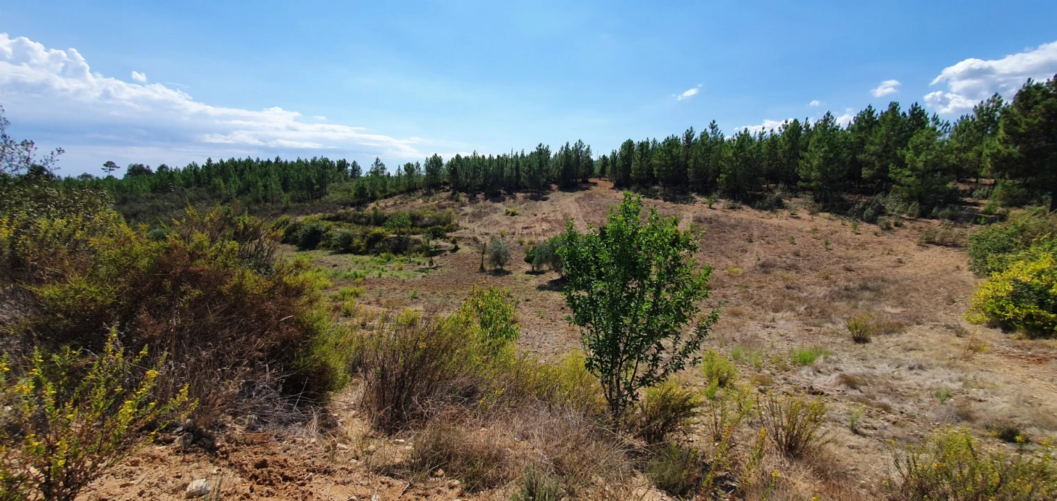 Quinta T0 para Venda em Santo Andre das Tojeiras Foto 14
