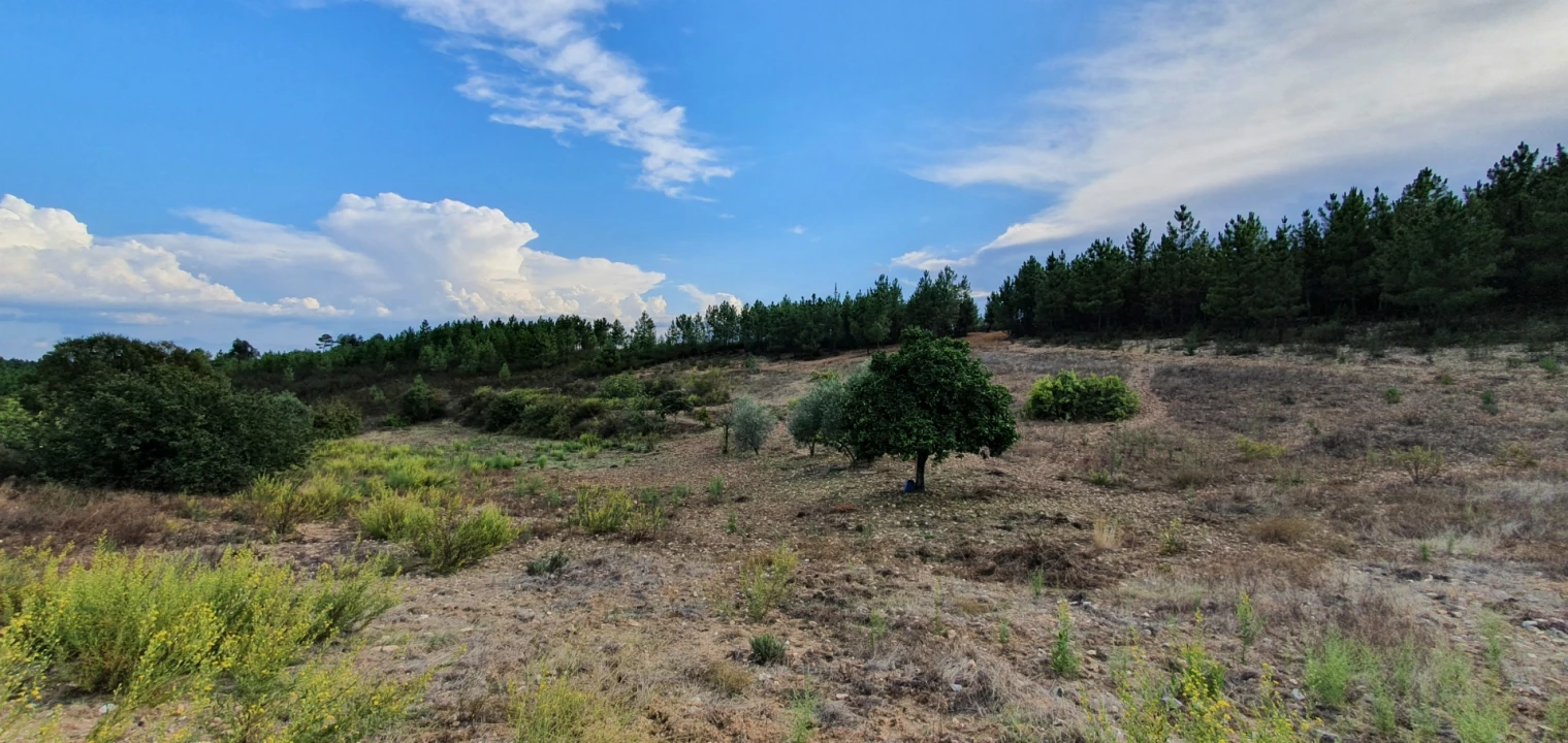 Quinta T0 para Venda em Santo Andre das Tojeiras Foto 10