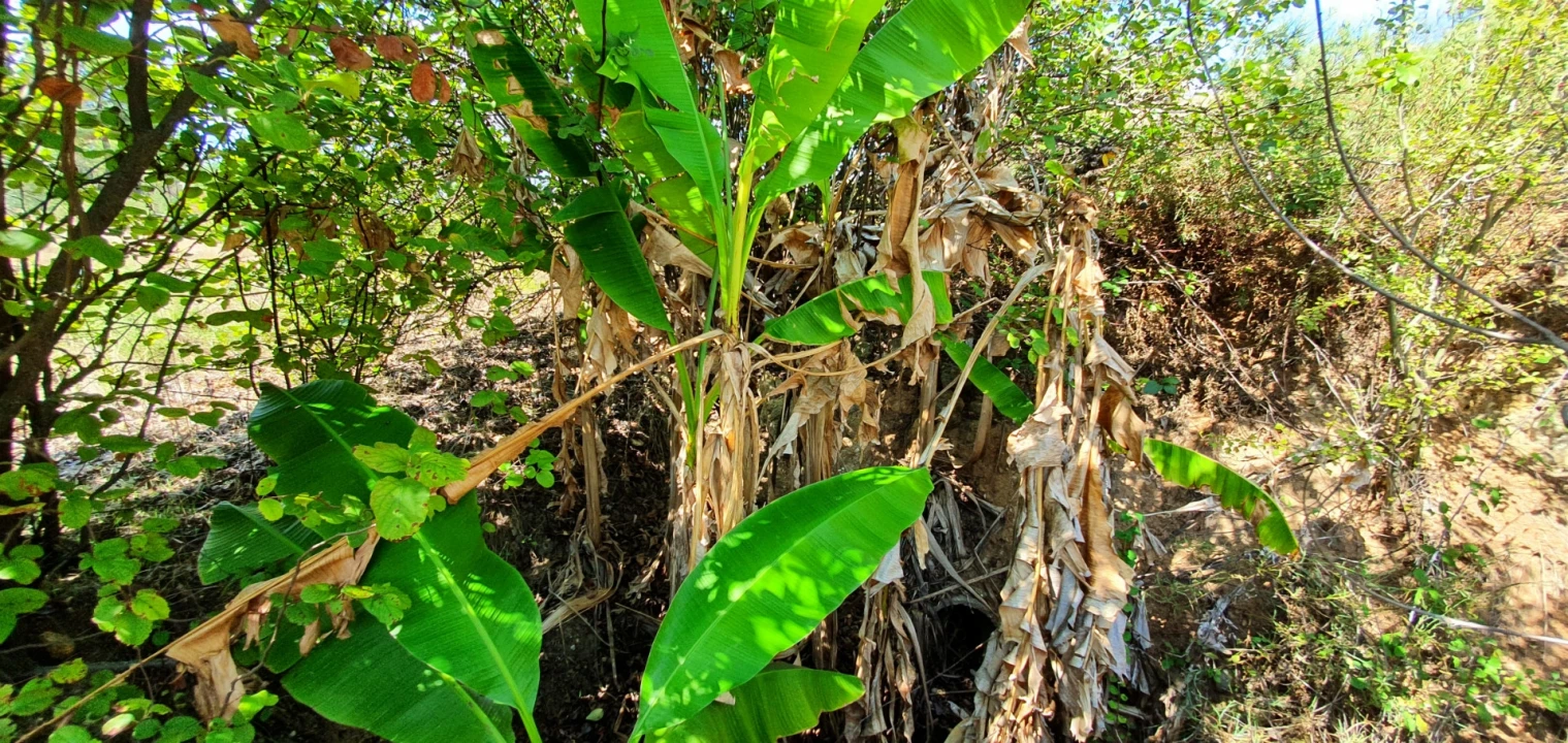 Quinta T0 para Venda em Santo Andre das Tojeiras Foto 18