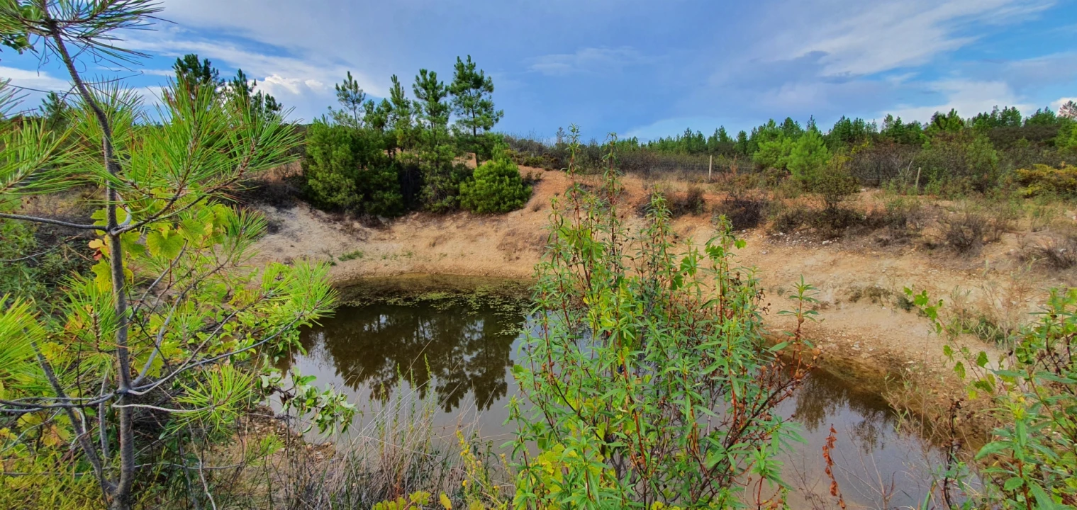 Quinta T0 para Venda em Santo Andre das Tojeiras Foto 11