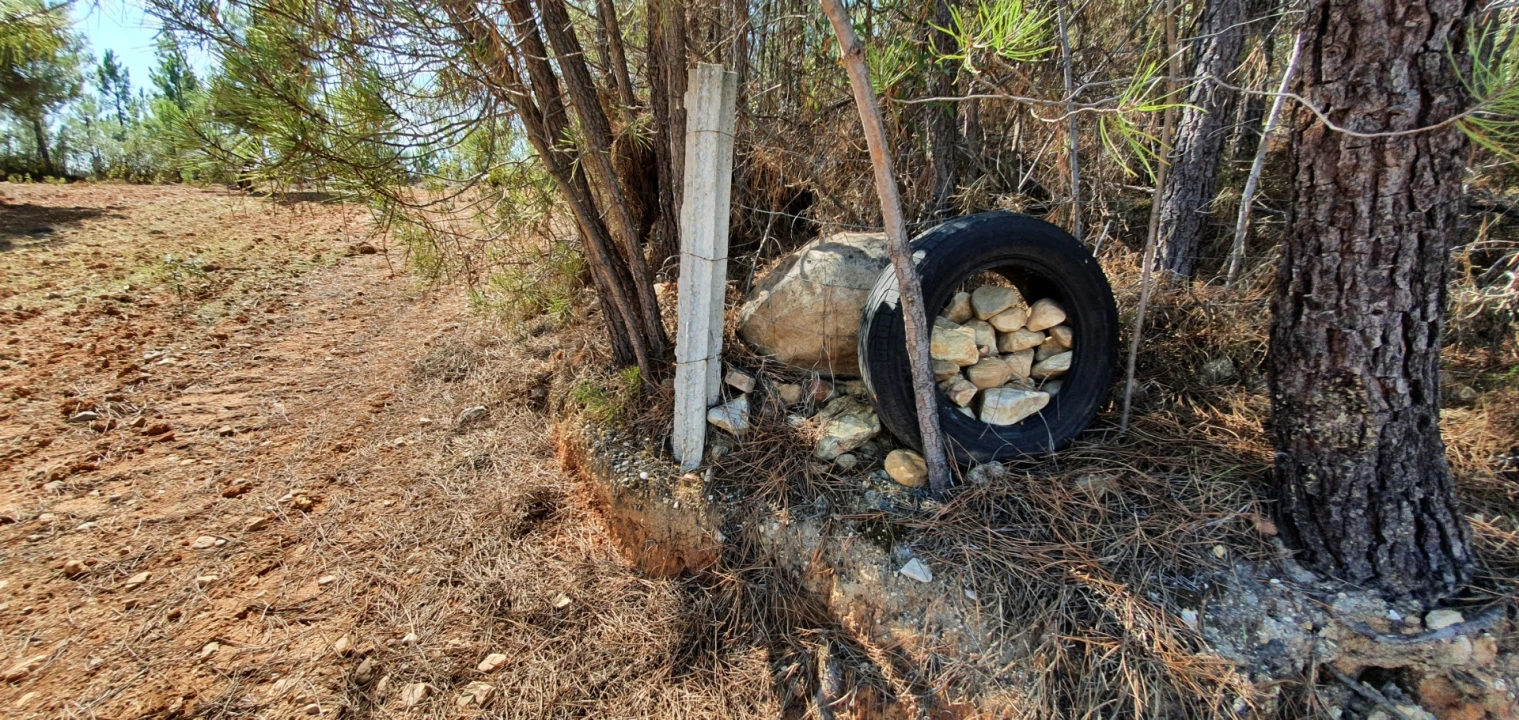 Quinta T0 para Venda em Santo Andre das Tojeiras Foto 4