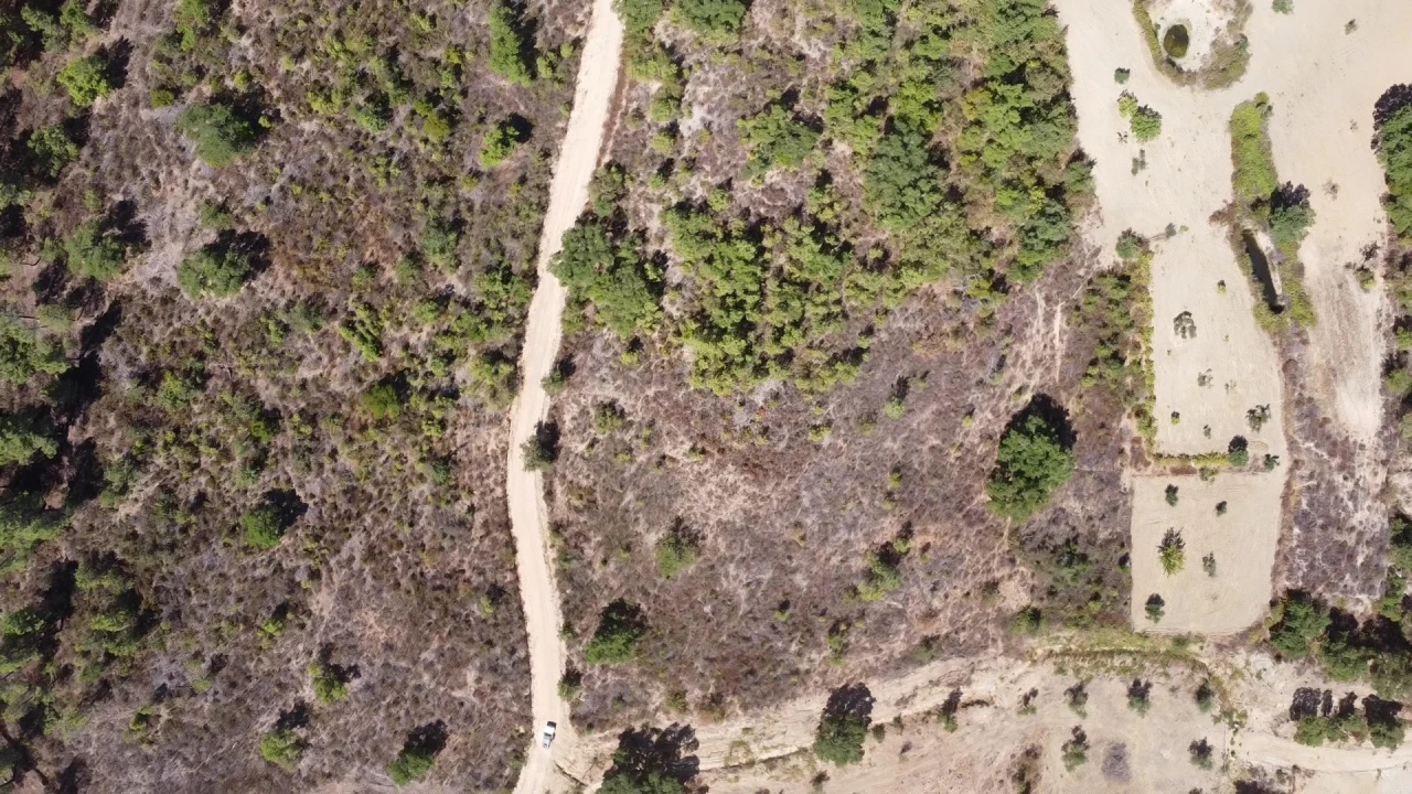 Terreno Agricola ou Rústico para Venda em Sarzedas Foto 3