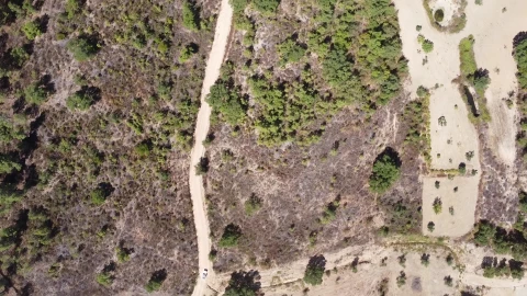 Terreno Agricola ou Rústico para Venda em Sarzedas