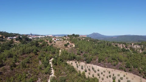 Terreno Agricola ou Rústico para Venda em Sarzedas