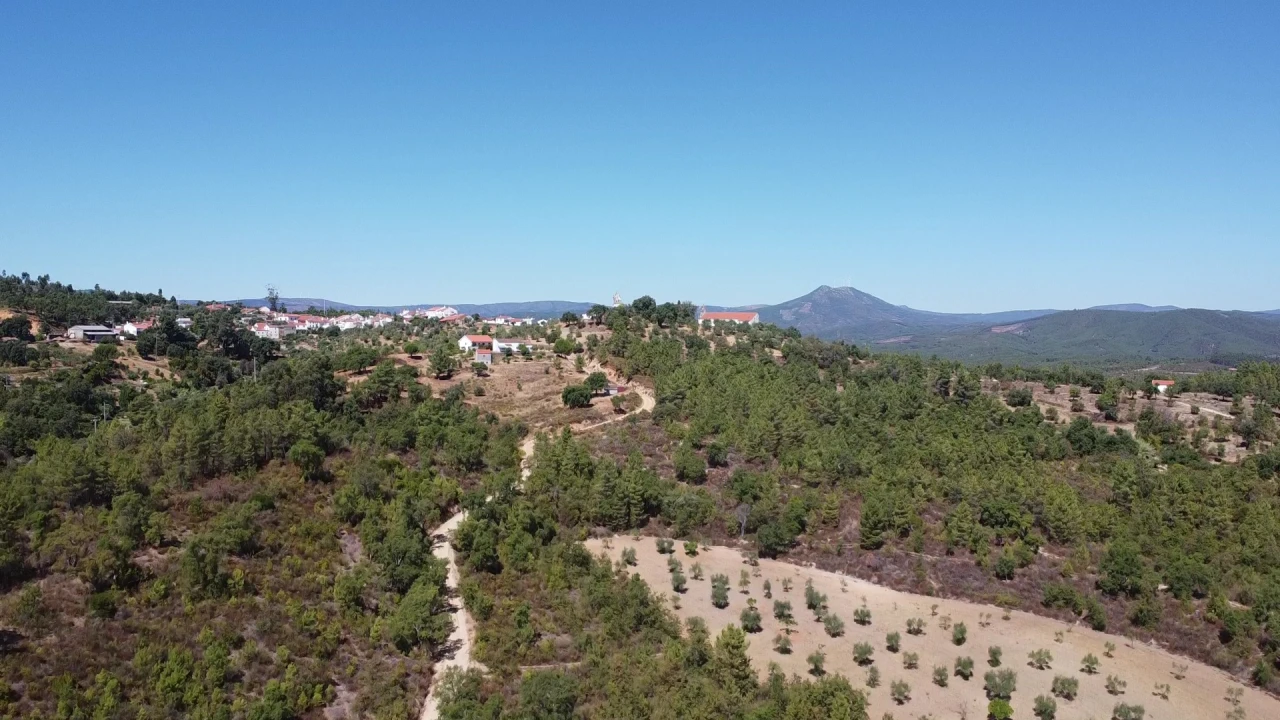 Terreno Agricola ou Rústico para Venda em Sarzedas Foto 1