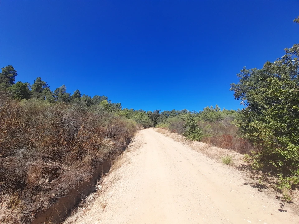 Terreno Agricola ou Rústico para Venda em Sarzedas Foto 5